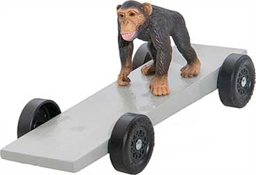 Monkey pinewood derby car