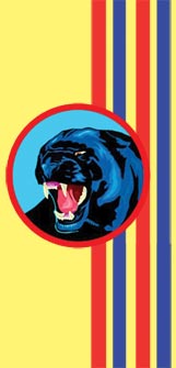 Pinewood Derby Car Decal