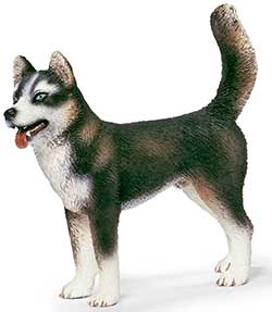 Husky